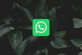 What Are Disappearing Messages in Whatsapp?