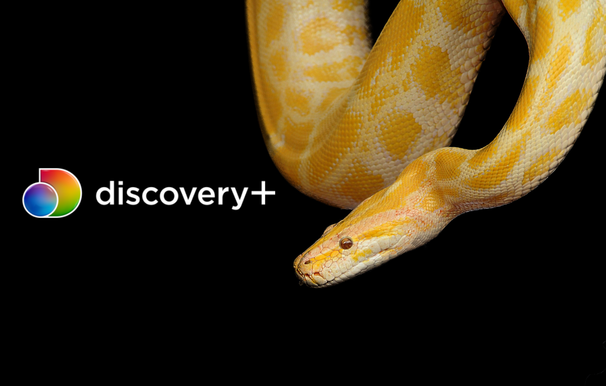 How To Cancel Discovery Plus Subscription