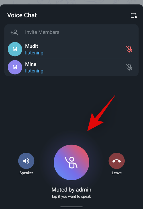 Telegram voice how to chat in How to