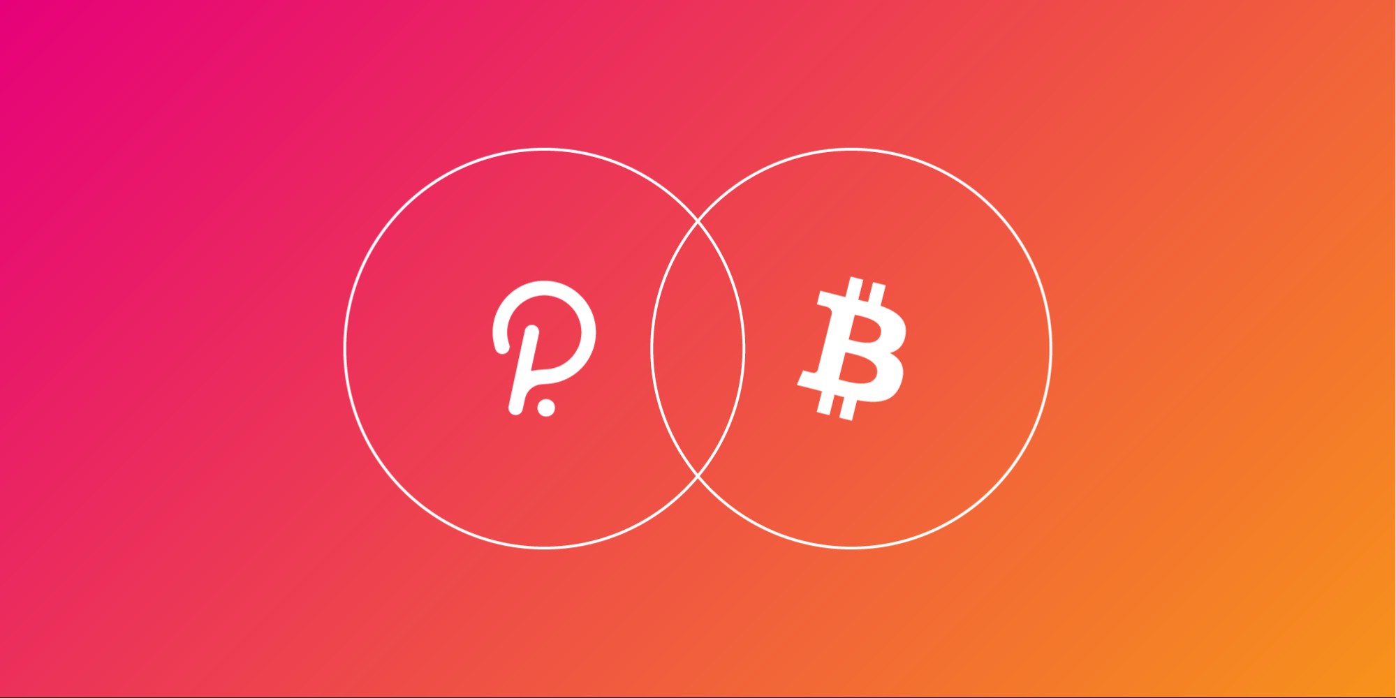 What is Polkadot crypto connect
