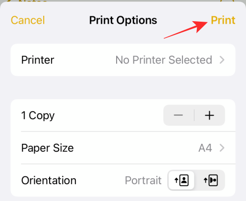 seng En effektiv screech iOS 15: How To Print to PDF on your iPhone and iPad