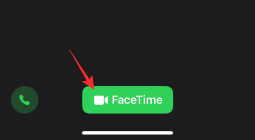 How do you watch netflix on facetime?