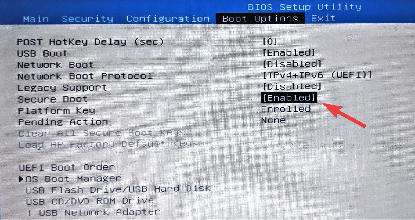 Error please secure boot faceit. Secure Boot needs to be enabled. Security Boot Acer что делать. Security Boot 267. Gigabyte secure Boot как включить Dual.