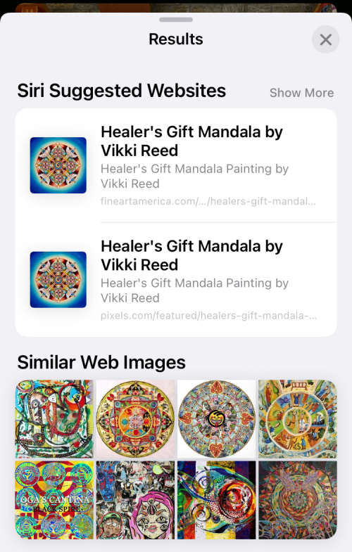 11 Easy Ways To Do Reverse Image Search On Iphone
