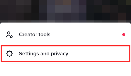 Tap on Settings and Privacy