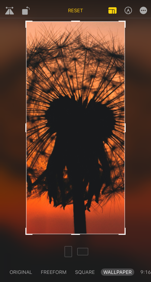How to Crop iPhone Wallpapers From Any Image on iPhone