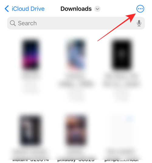 如何在 iPhone 或 iPad 上使用iOS 16文件应用程序删除背景