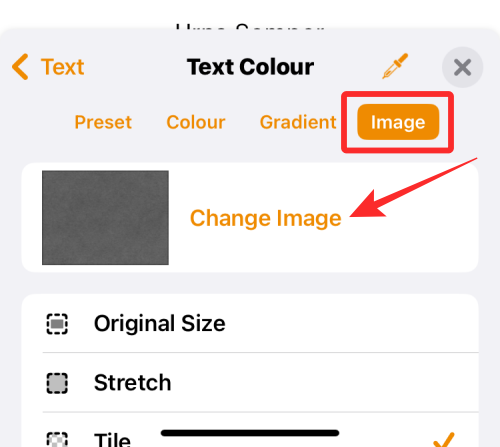 在 iPhone 上更改字体颜色的 4 种方法