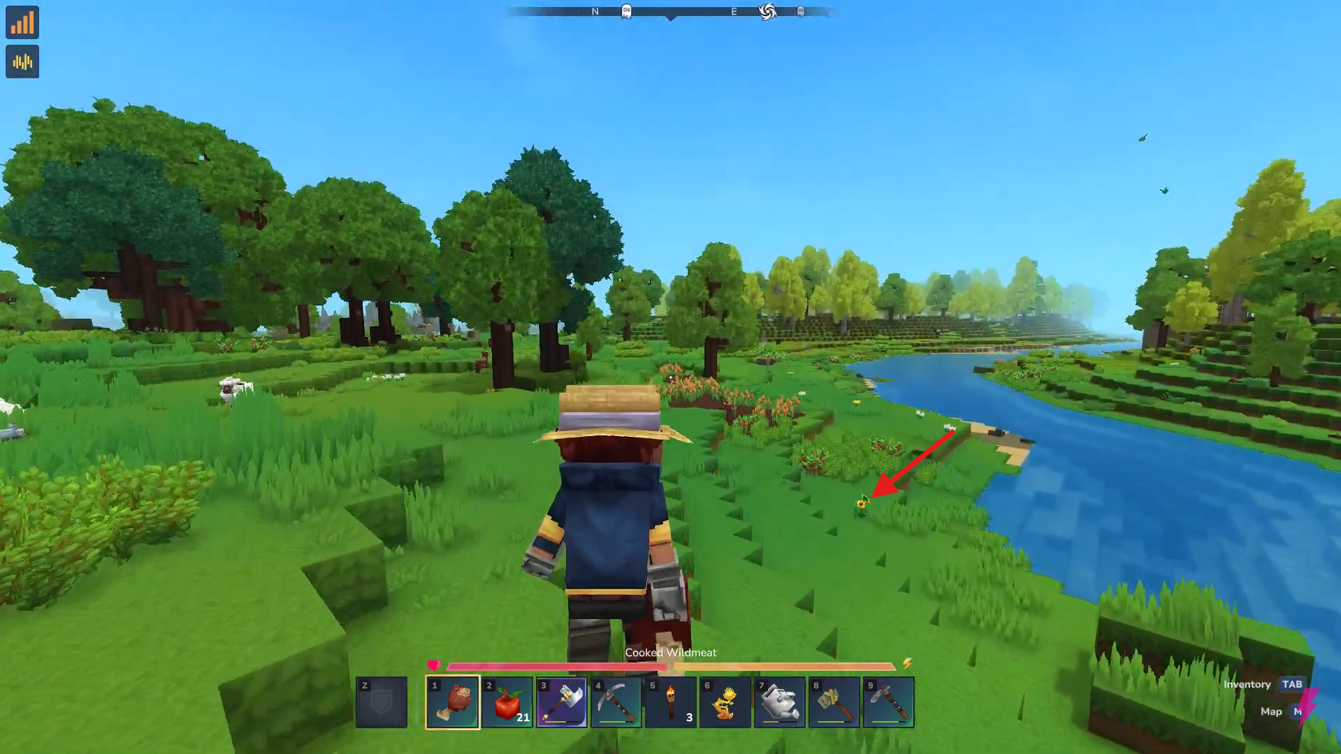 Spot and approach a Sunflower. Image credits: Hypixel Studios / YouTube: Answer ASAP