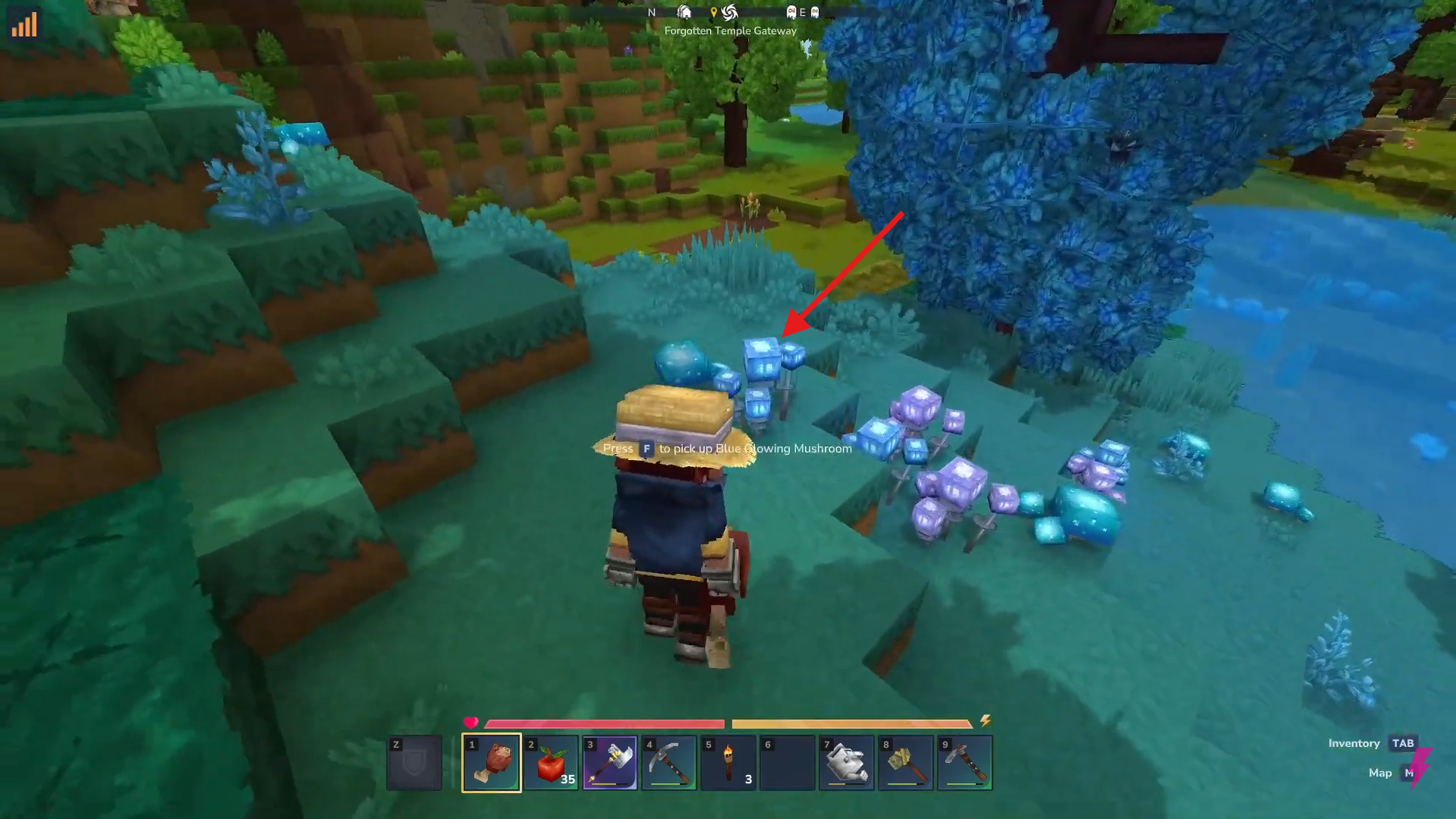 Get the Blue Glowing Mushroom. Image credits: Hypixel Studios / YouTube: Answer ASAP