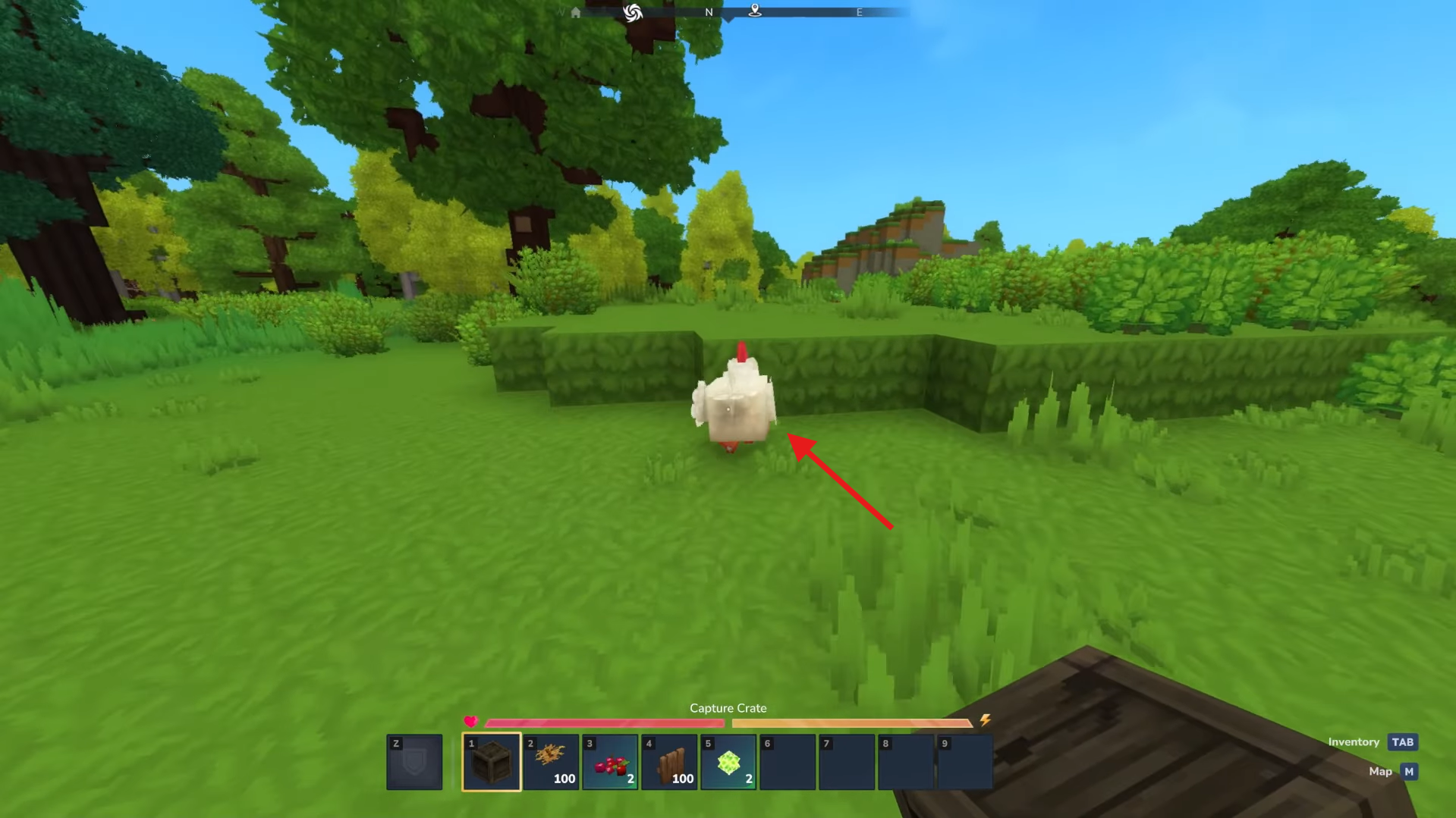 Catch wild Chickens. Image credits: Hypixel Studios / YouTube: Kweebyte