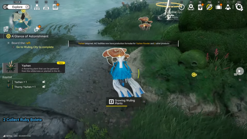 Ruby Bolete Location