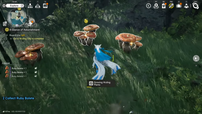 Ruby Bolete Location