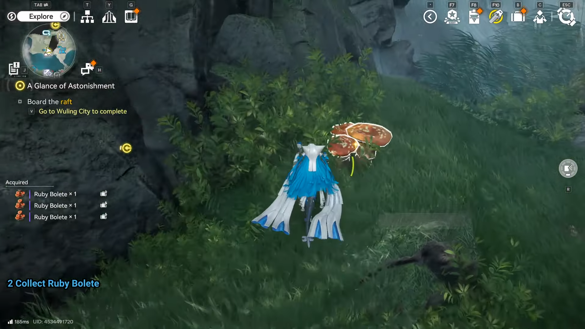 Ruby Bolete Location