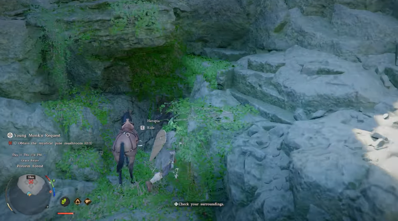 Crimson Desert Mystical Pine Mushroom Location and Porin Cave in Young Monk's Request