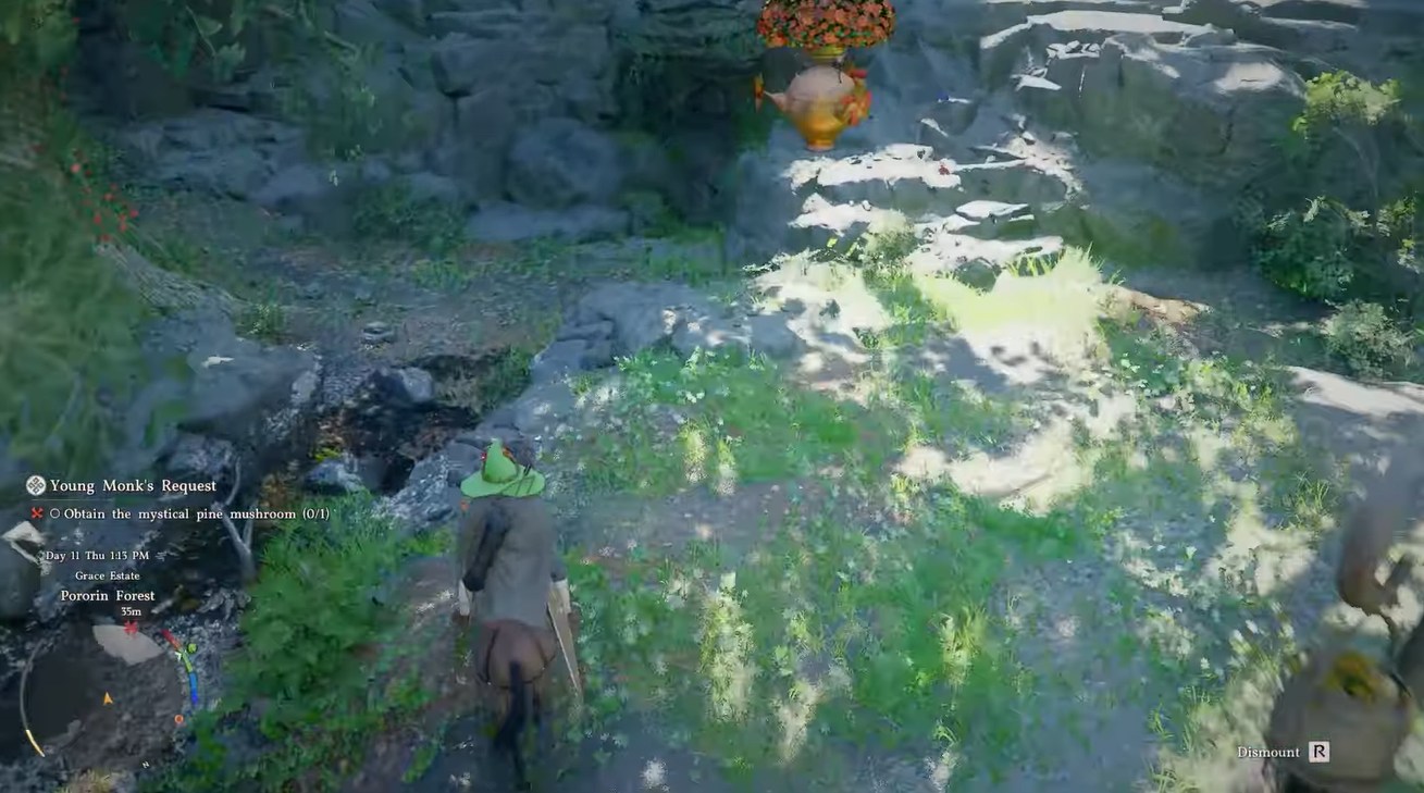 Crimson Desert Mystical Pine Mushroom Location and Porin Cave in Young Monk's Request