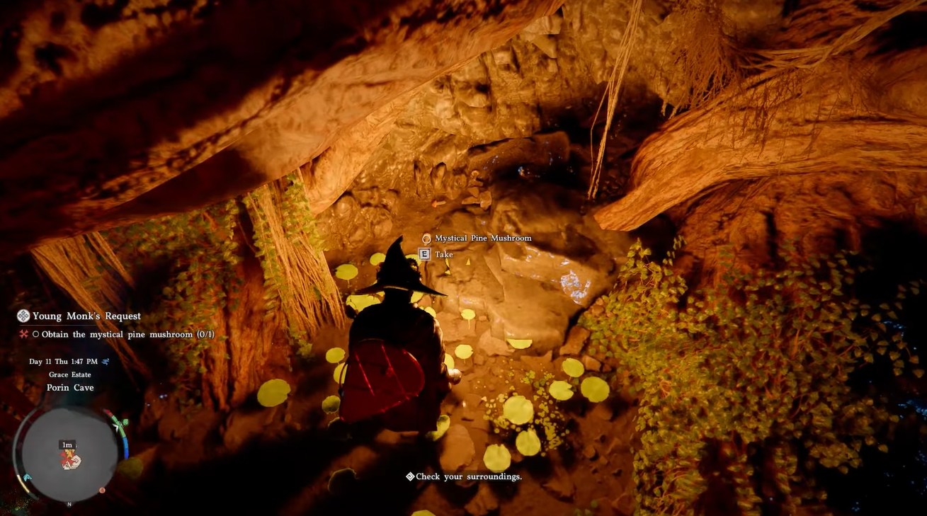 Crimson Desert Mystical Pine Mushroom Location and Porin Cave in Young Monk's Request