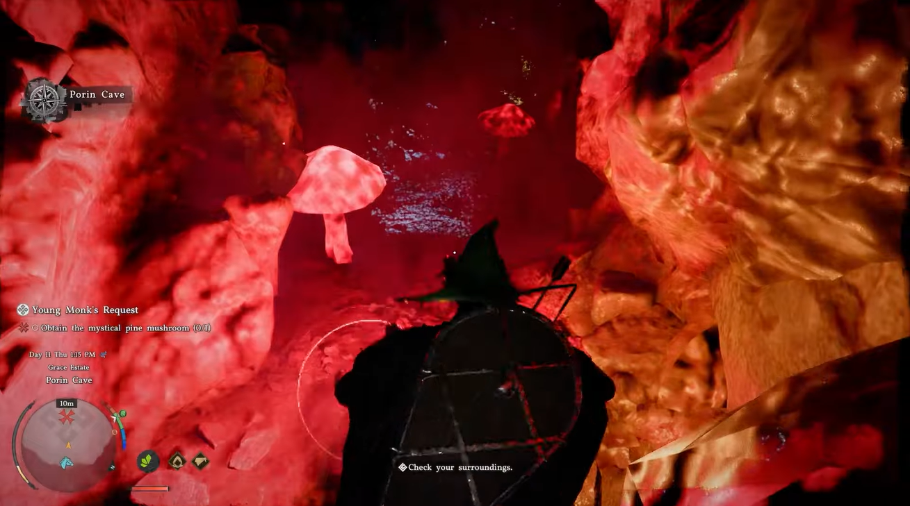 Crimson Desert Mystical Pine Mushroom Location and Porin Cave in Young Monk's Request