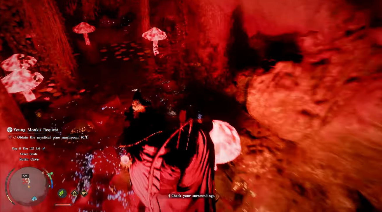 Crimson Desert Mystical Pine Mushroom Location and Porin Cave in Young Monk's Request