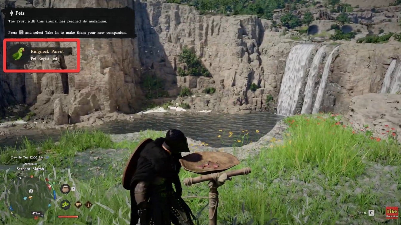 Crimson Desert Ringneck Parrot location (Image credit: Pearl Abyss / Via: YouTube – KpShamino)