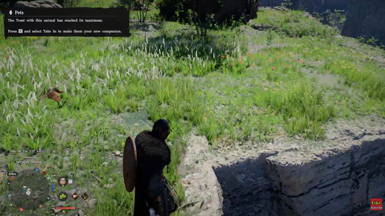 Crimson Desert Ringneck Parrot location (Image credit: Pearl Abyss / Via: YouTube – KpShamino)