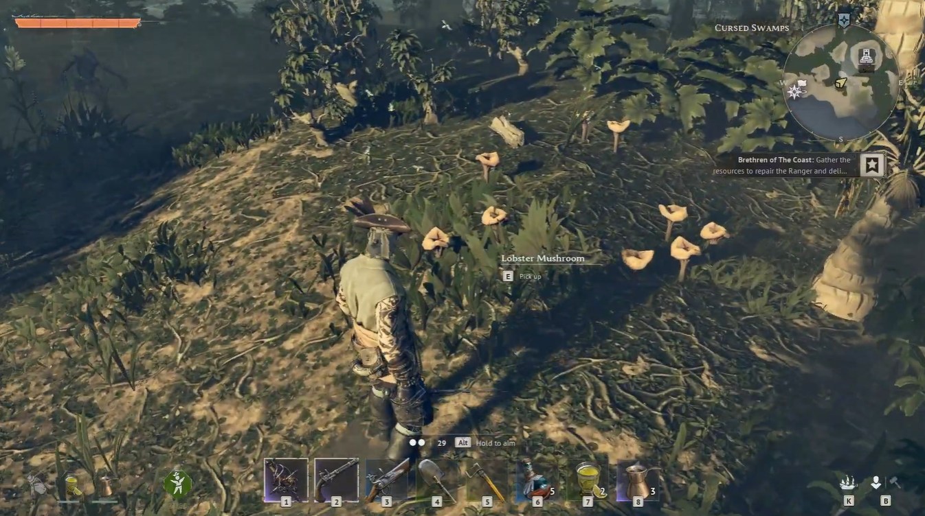 Lobster Mushrooms windrose (Image credit: Kraken Express / Via: YouTube - ASAP)