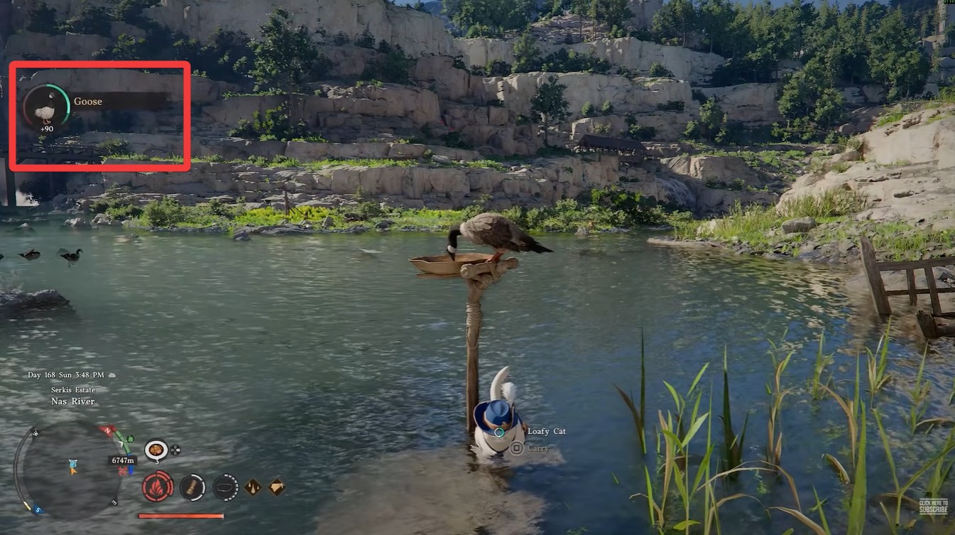 Crimson Desert Goose Locations (Image credit: Pearl Abyss / Via: YouTube - Arekkz Gaming)