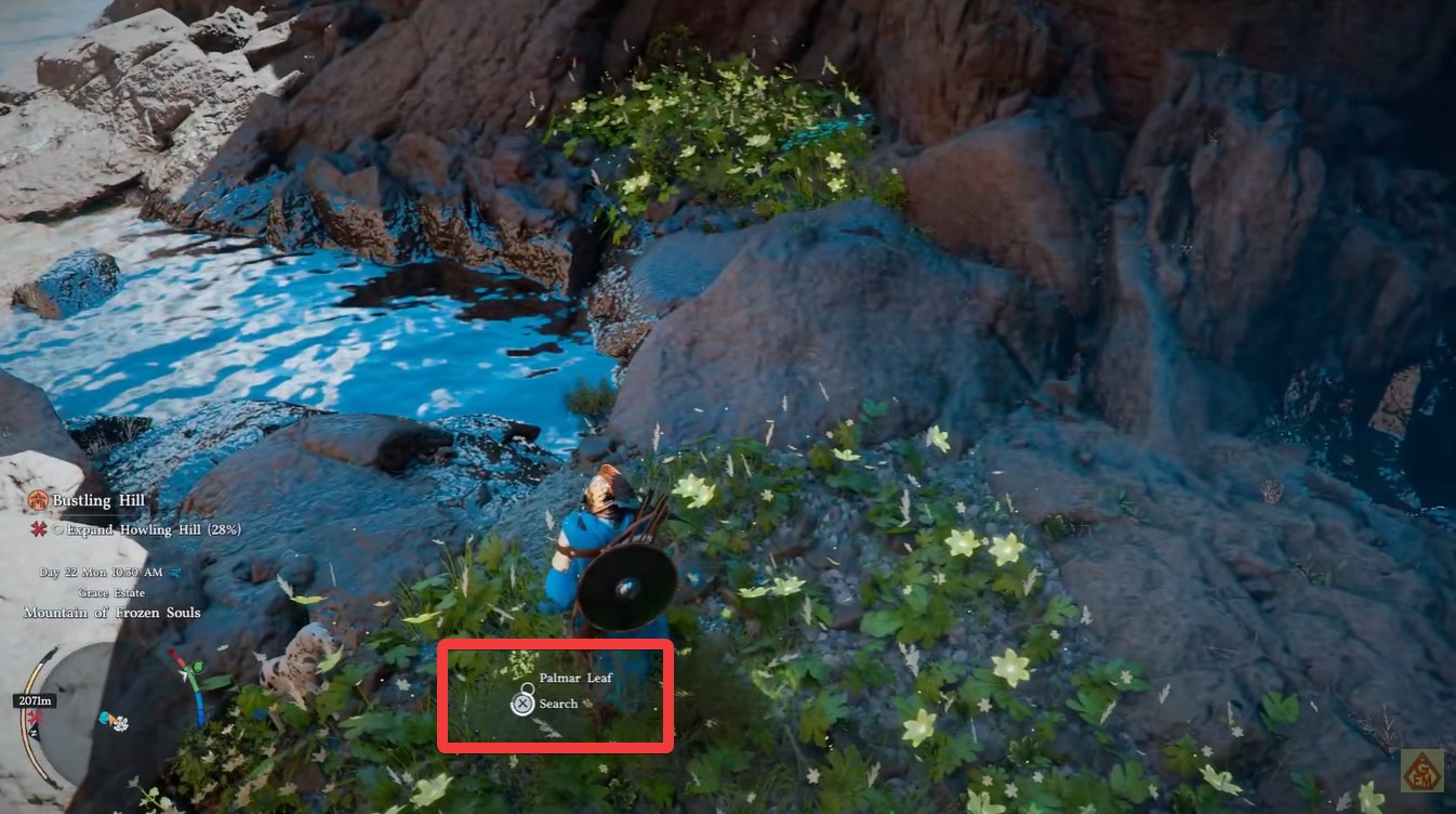 Palmar Leaf Location Uses Crimson Desert