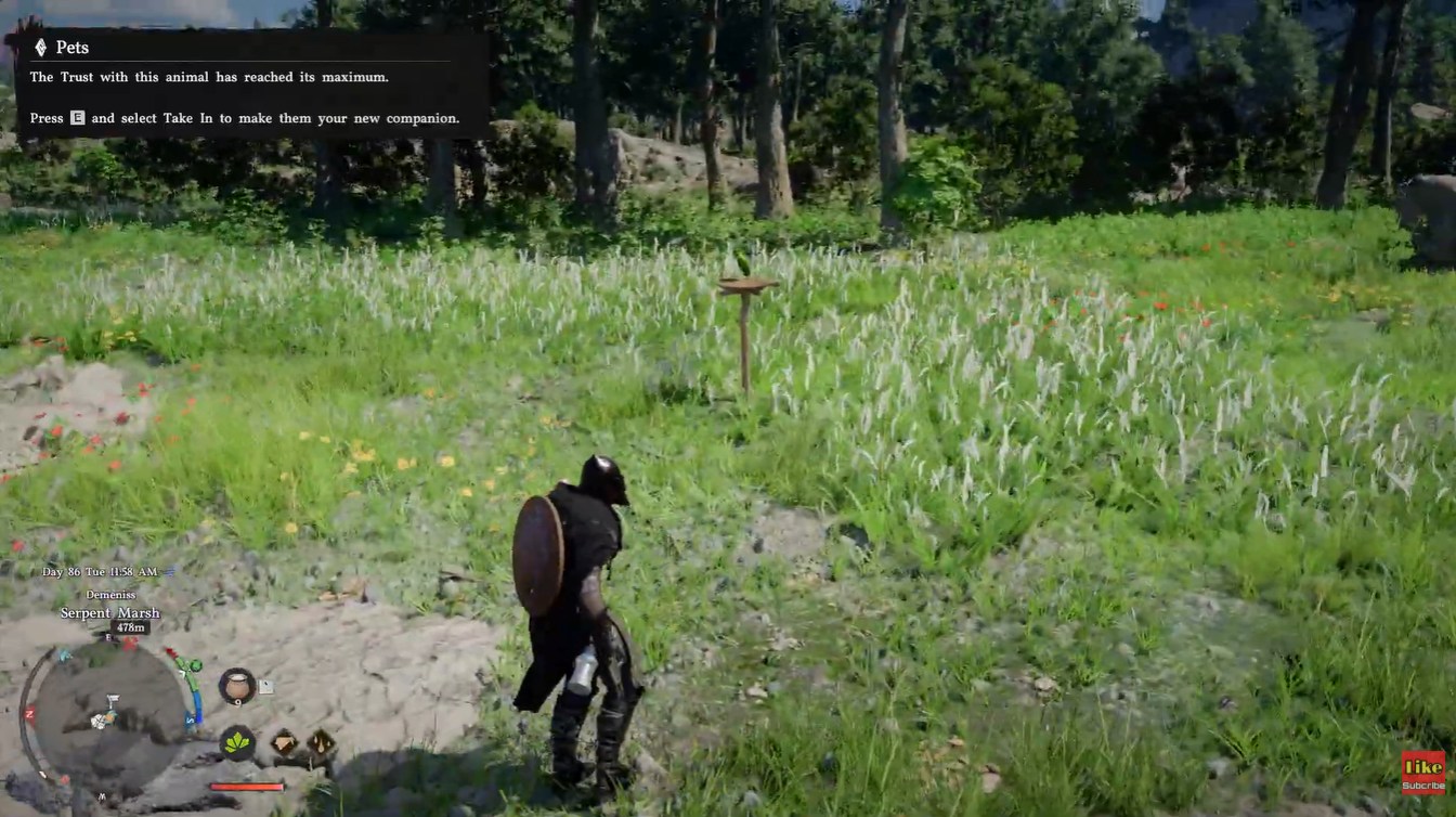 Crimson Desert Ringneck Parrot location (Image credit: Pearl Abyss / Via: YouTube – KpShamino)