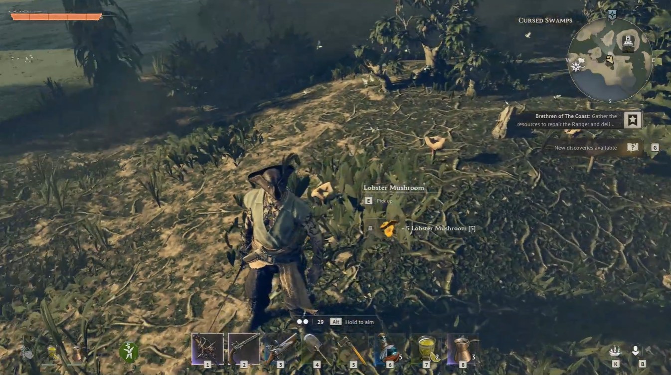 Lobster Mushrooms windrose (Image credit: Kraken Express / Via: YouTube - ASAP)