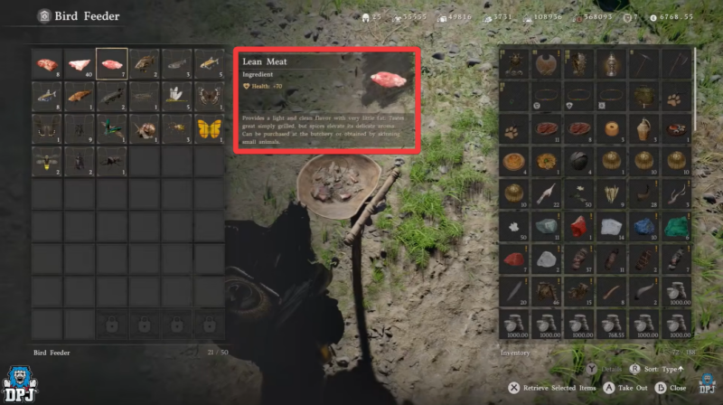 Eagle location and baits crimson desert (Image credit: Pearl Abyss / Via: YouTube - DPJ)