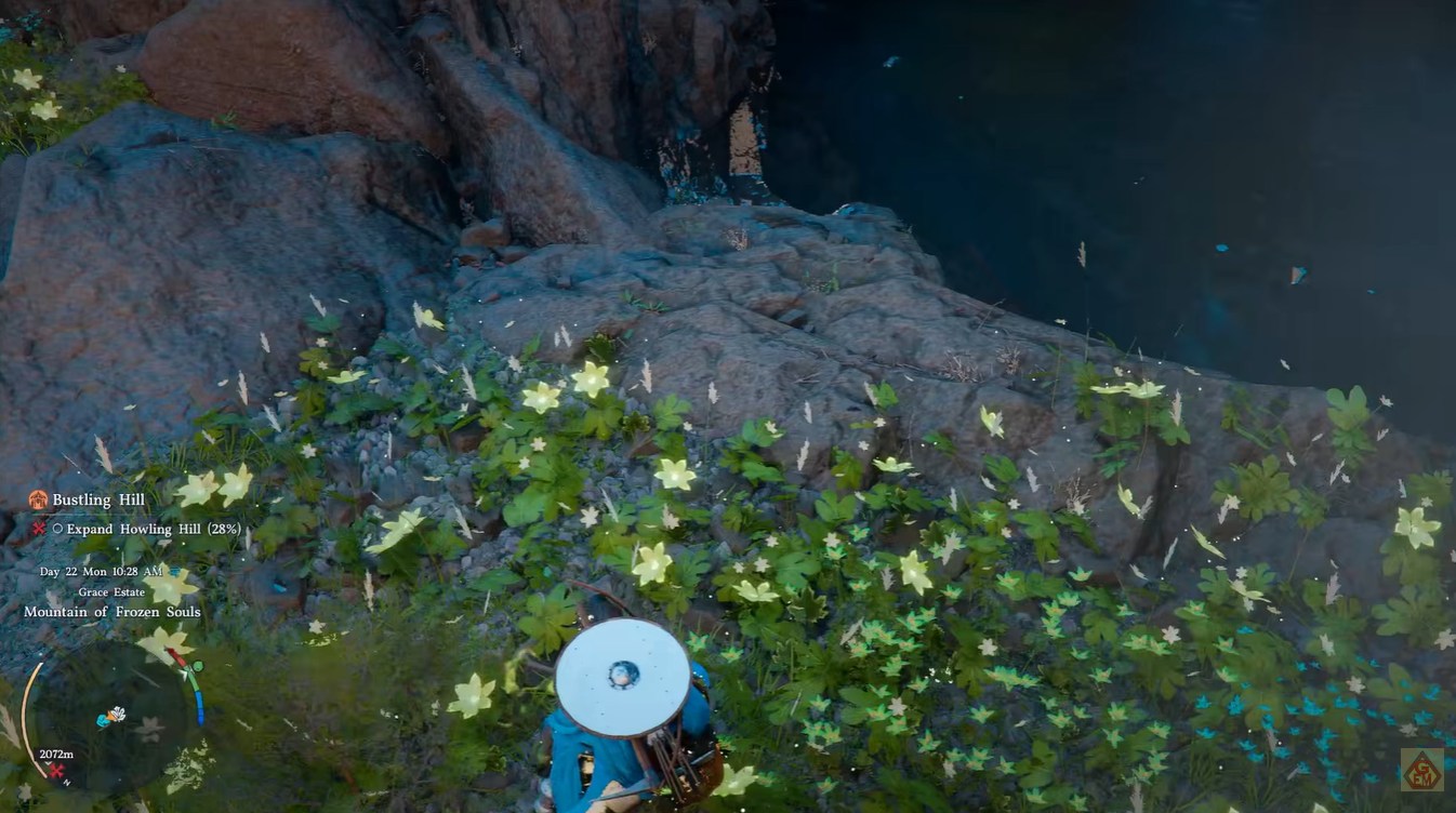 Palmar Leaf Location Uses Crimson Desert