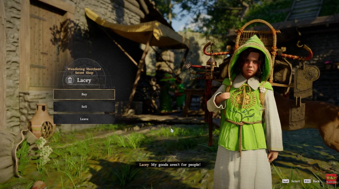 Pororin secret shop in Lacey (Image credit: Pearl Abyss / Via: YouTube - KpShamino)