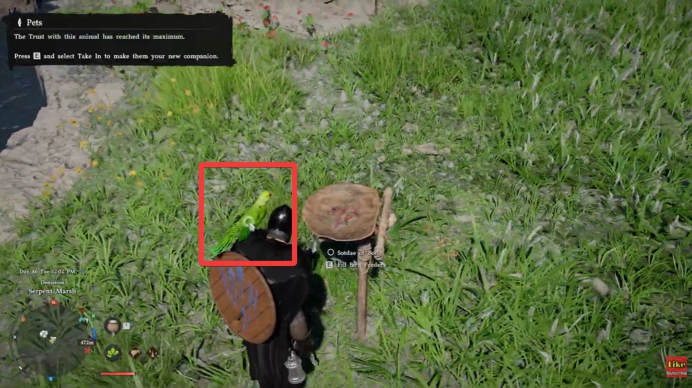 Crimson Desert Ringneck Parrot location (Image credit: Pearl Abyss / Via: YouTube – KpShamino)