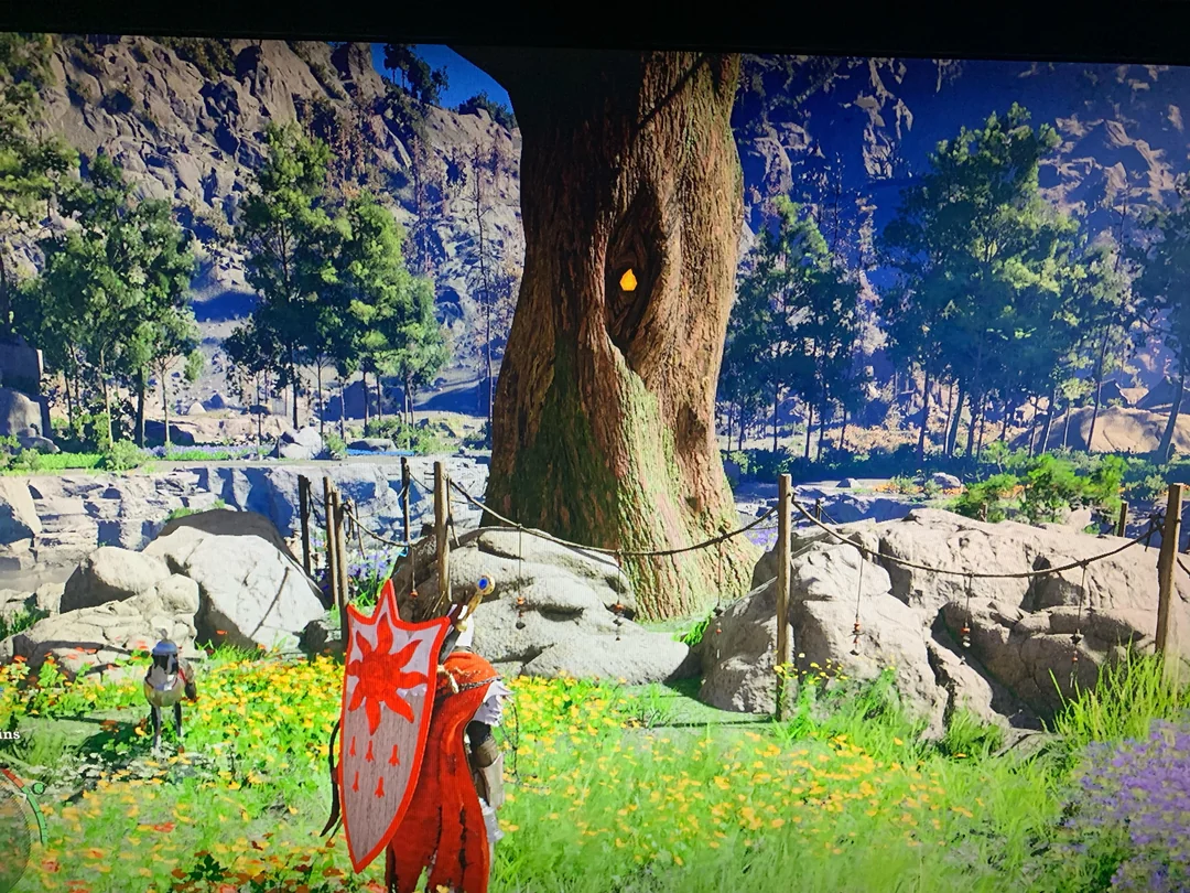 Crimson Desert Fruit of Life (Image via: Reddit)