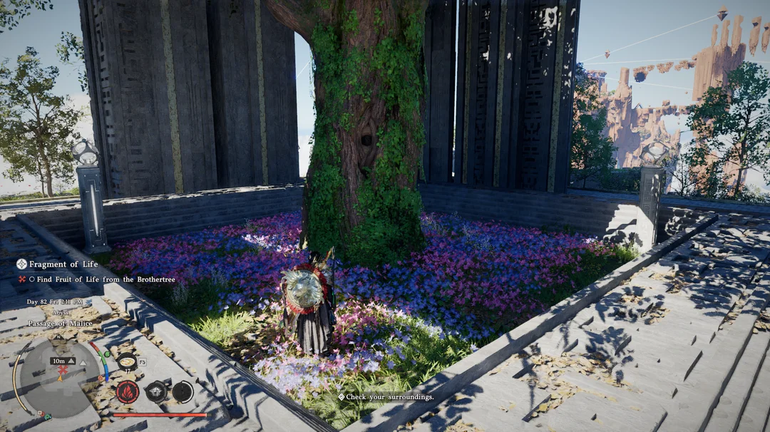 Crimson Desert Fruit of Life not appearing in Fragments of Life quest (Image via: Reddit)