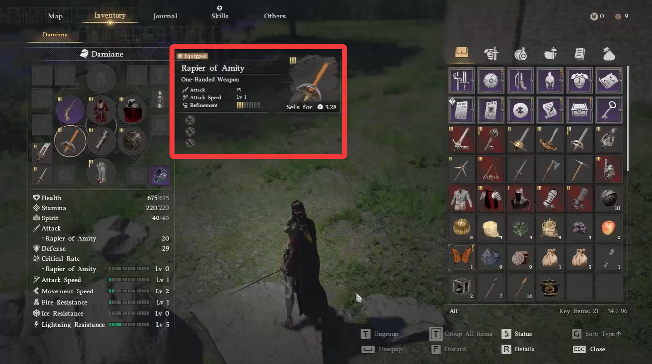 Crimson Desert Rapier of Amity 