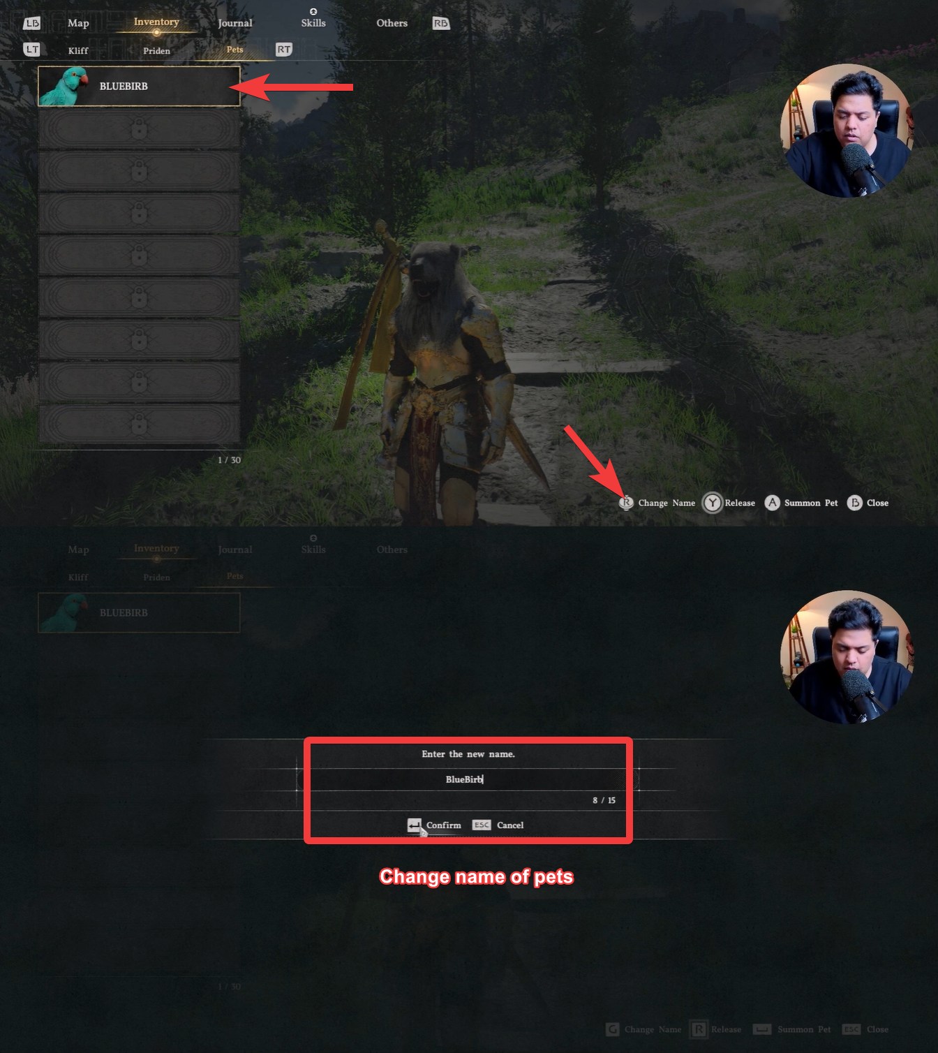 rename pets in crimson desert (Image credit: Pearl Abyss / Via: YouTube - SolveBase)