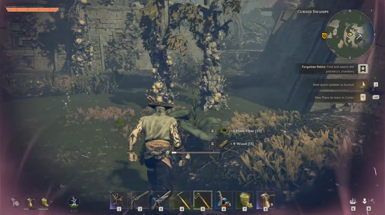 Minor Sun RIng Wood Plague effects Windrose