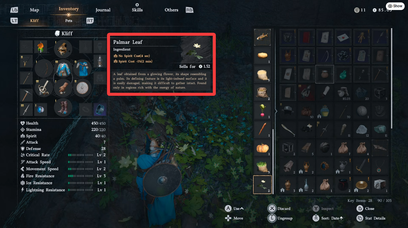 Palmar Leaf Location Uses Crimson Desert