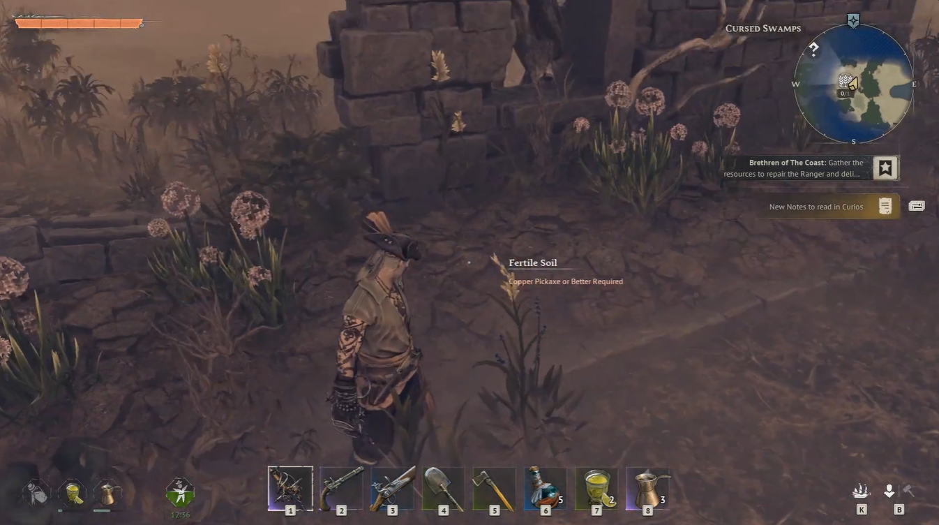 Bean Seeds windrose (Image credit: Kraken Express / Via: YouTube - ASAP)