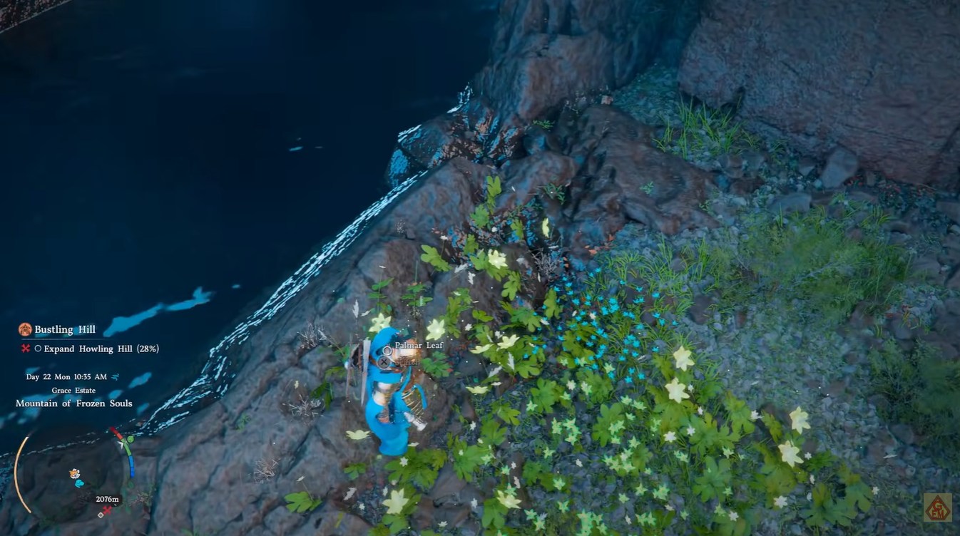 Palmar Leaf Location Uses Crimson Desert