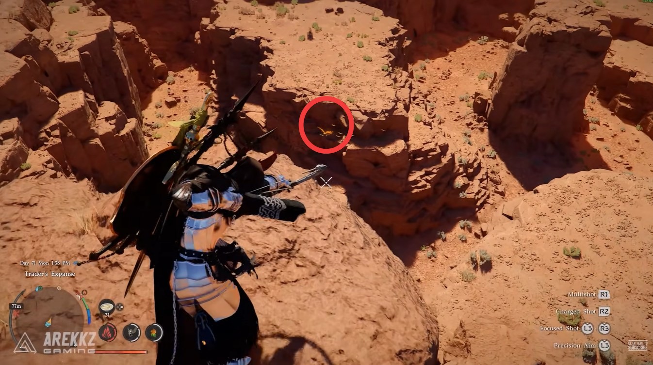 Pheonix Crimson Desert (Image credit: Pearl Abyss / Via: YouTube - Arekkz Gaming)
