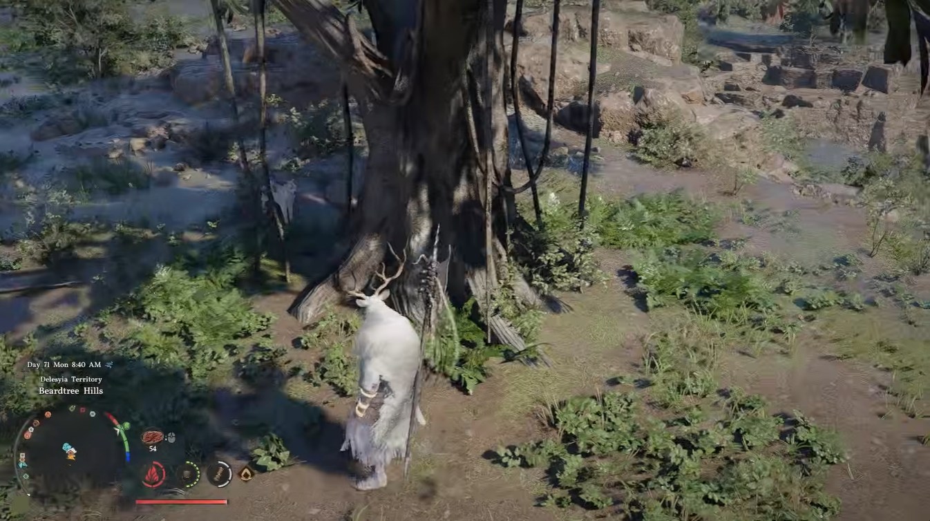 Where to Get Rubber in Crimson Desert: All Rubber Locations and Farming Methods Explained