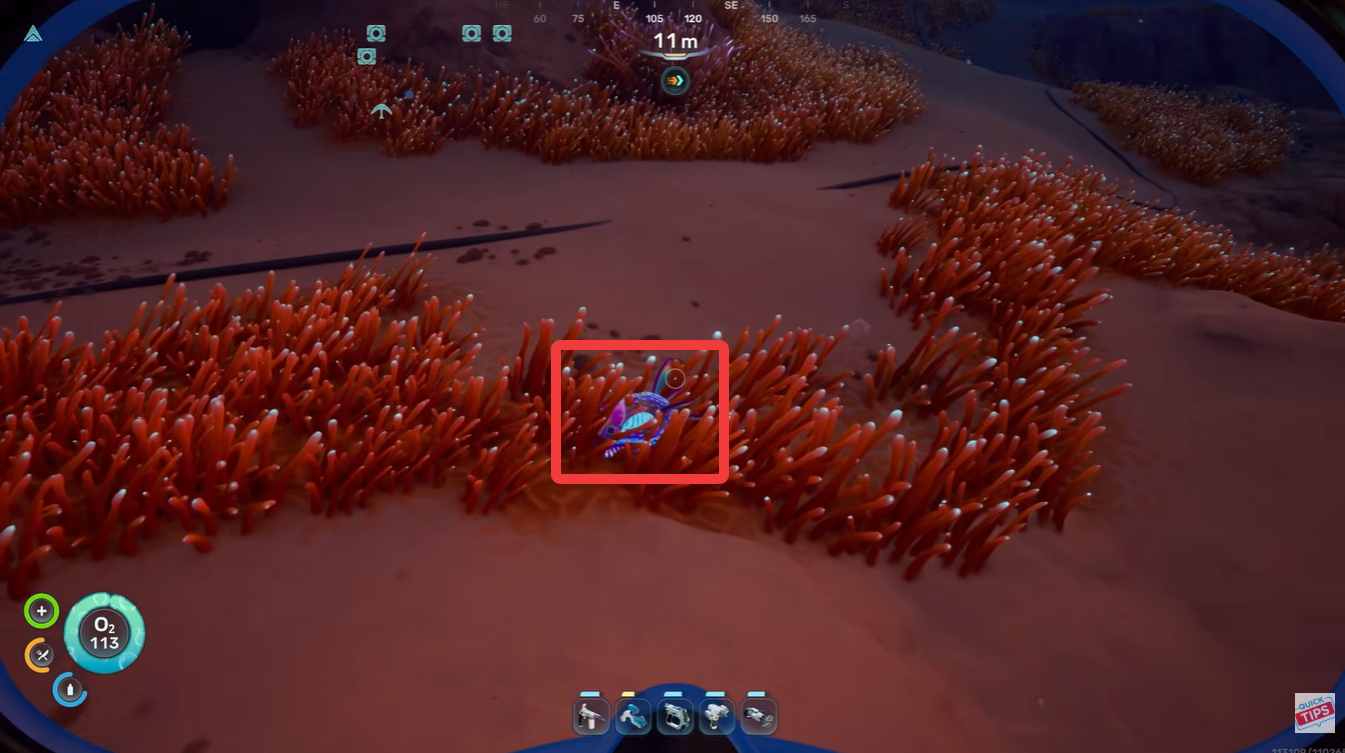 How to Find Water Slugs and Get Water in Subnautica 2 Early