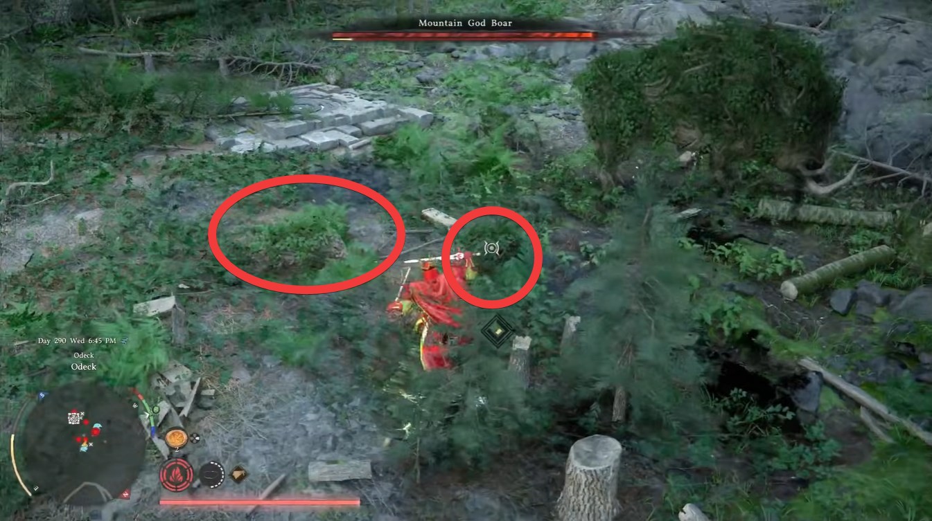 Crimson Desert: Mountain God Boar Location, Spawn Mechanics and Combat Tips Guide