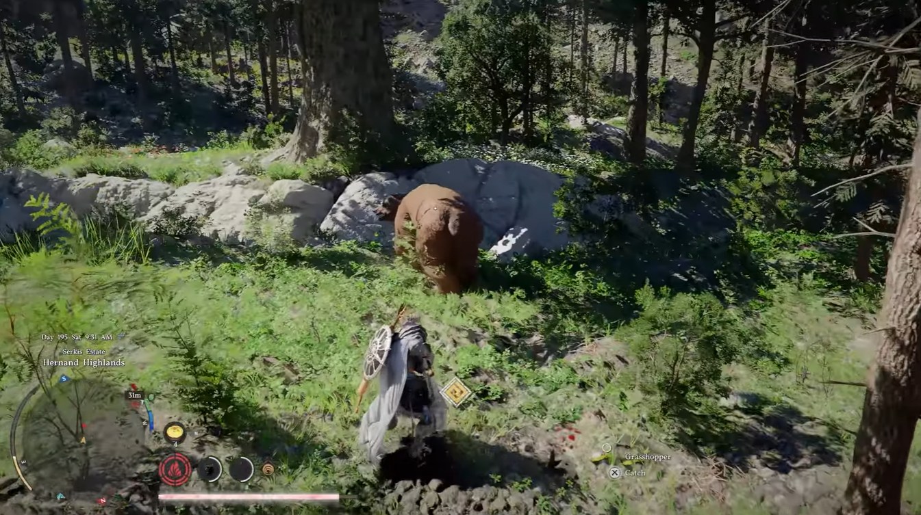 Crimson Desert Bear’s Gallbladder Best Location, Uses, and Farming Strategy Explained
