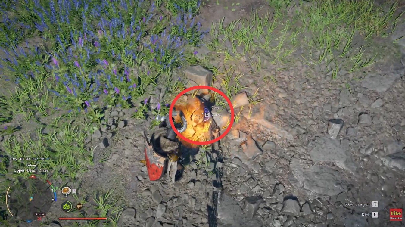 Coot bird pet in Crimson Desert