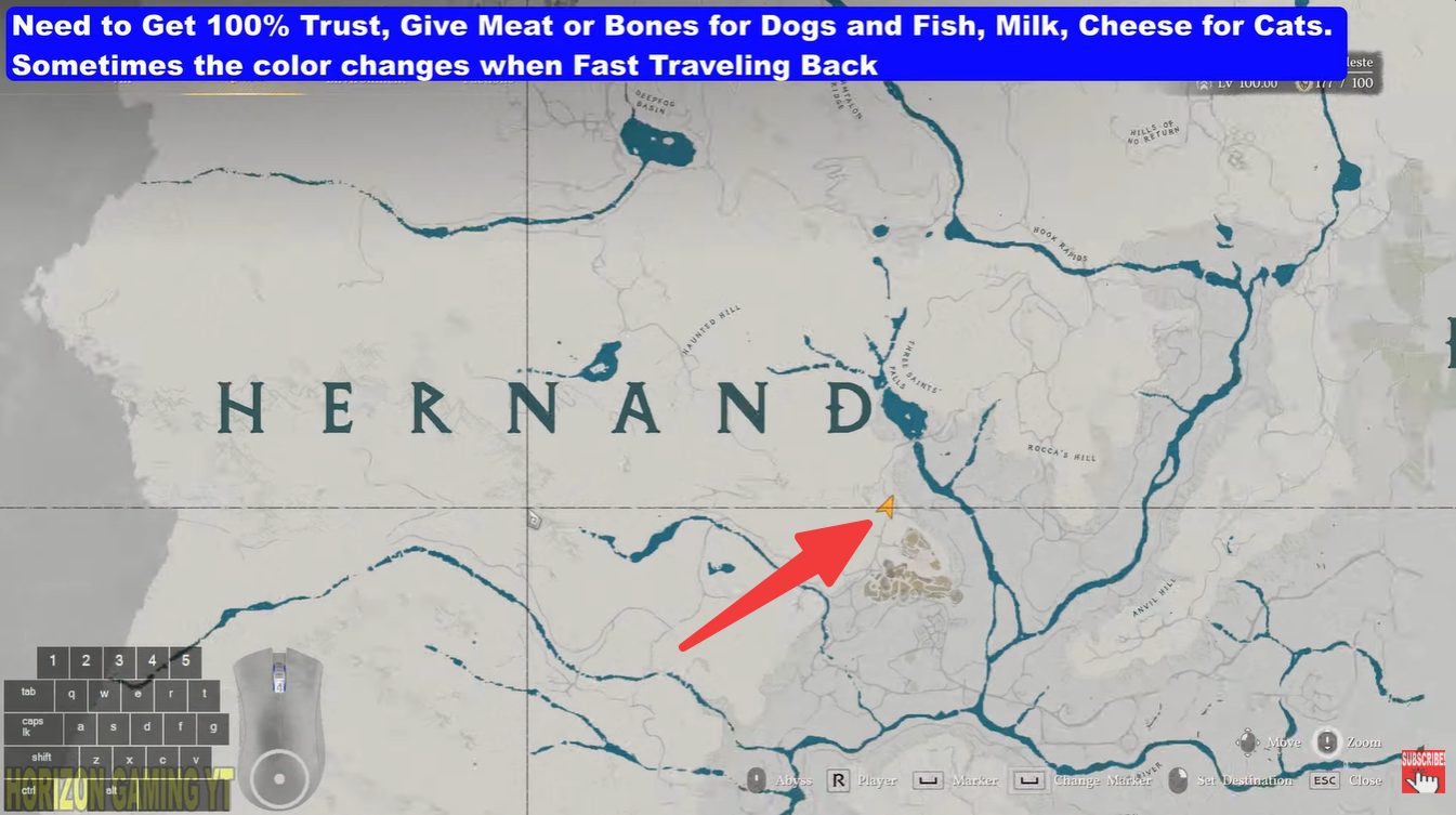 Crimson Desert Boarhound Puppy Pet Location Guide and Best Foods Explained