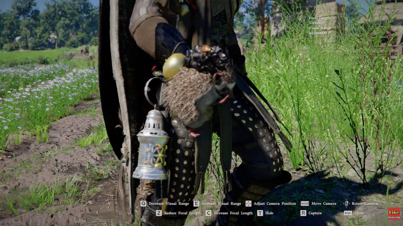 Close up of Golden Apple Hedgehog in Crimson Desert